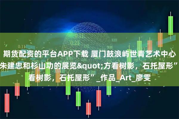 期货配资的平台APP下载 厦门鼓浪屿世青艺术中心成功举办艺术家朱建忠和杉山功的展览"方看树影，石托屋形”_作品_Art_廖雯