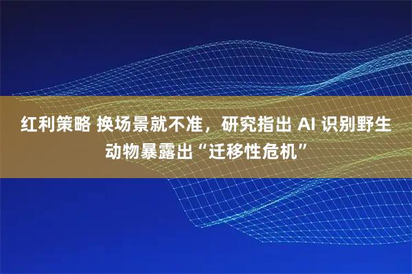 红利策略 换场景就不准，研究指出 AI 识别野生动物暴露出“迁移性危机”