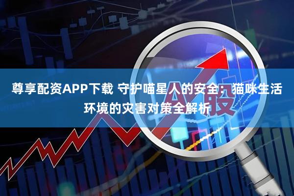 尊享配资APP下载 守护喵星人的安全：猫咪生活环境的灾害对策全解析